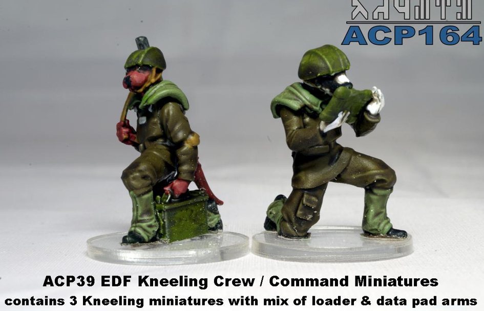 ACP39 EDF Kneeling Crew